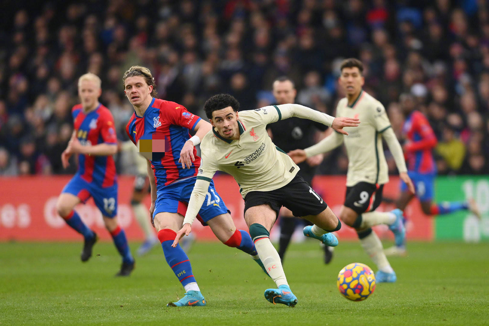 地的顶尖游 地的顶尖游